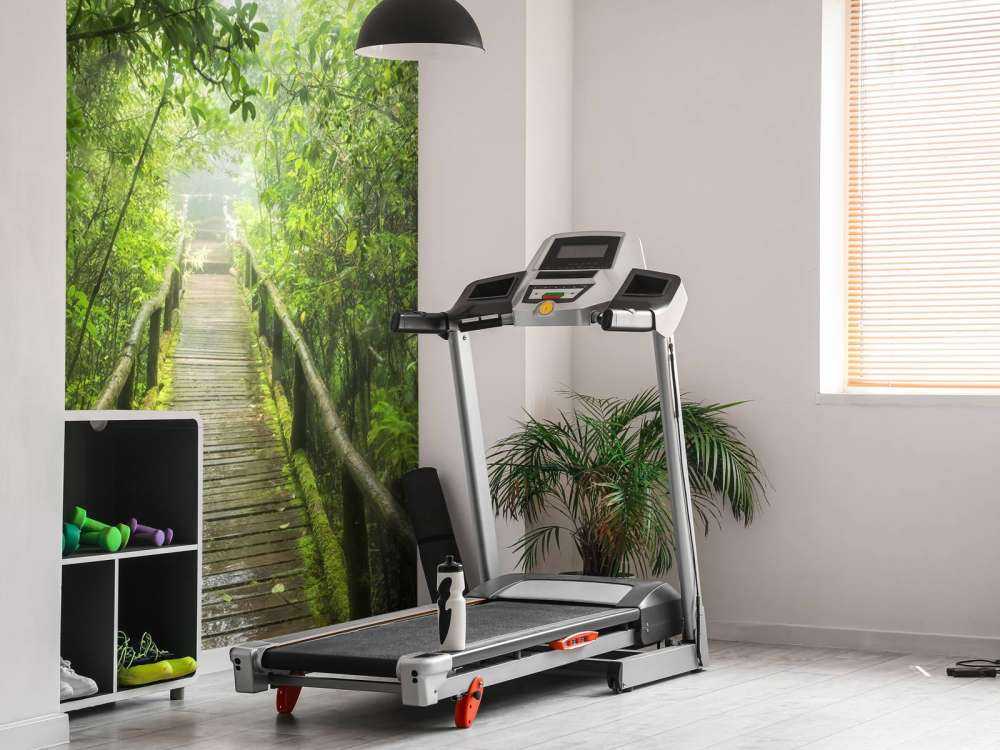 Verde giungla nebbiosa