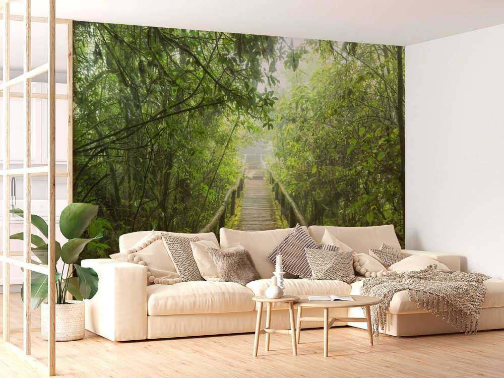 Verde giungla nebbiosa