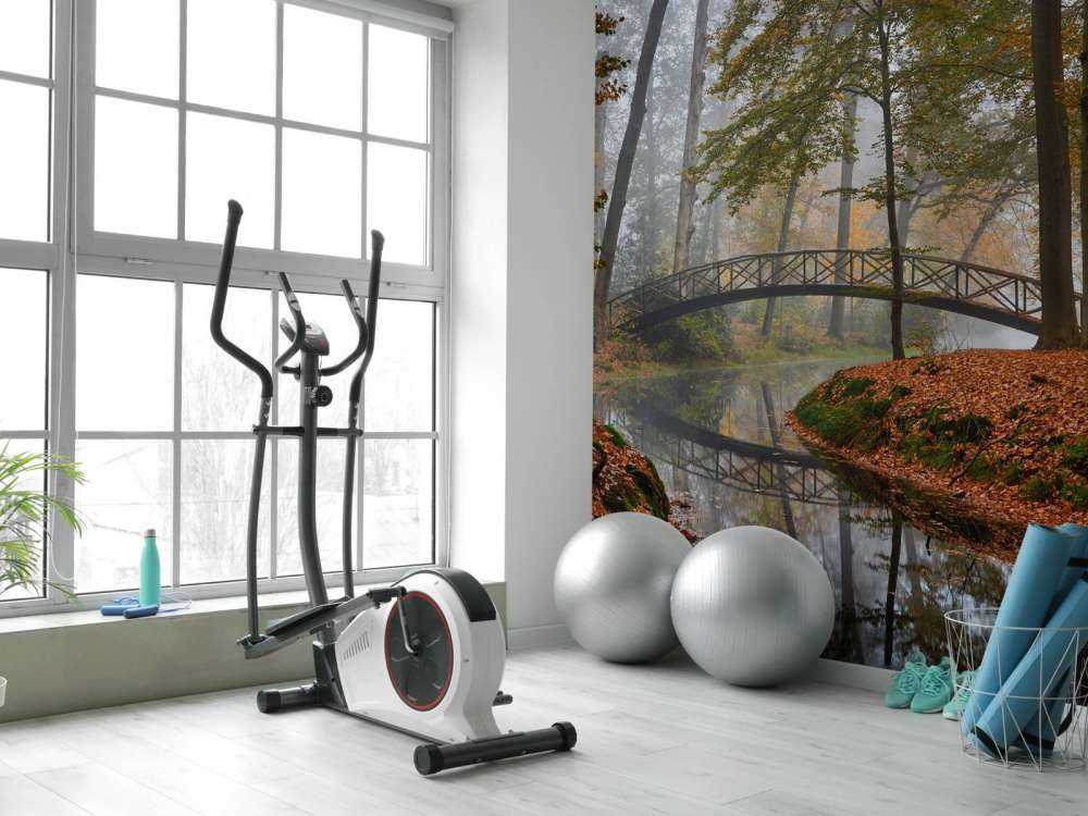 Ponte nella foresta autunnale