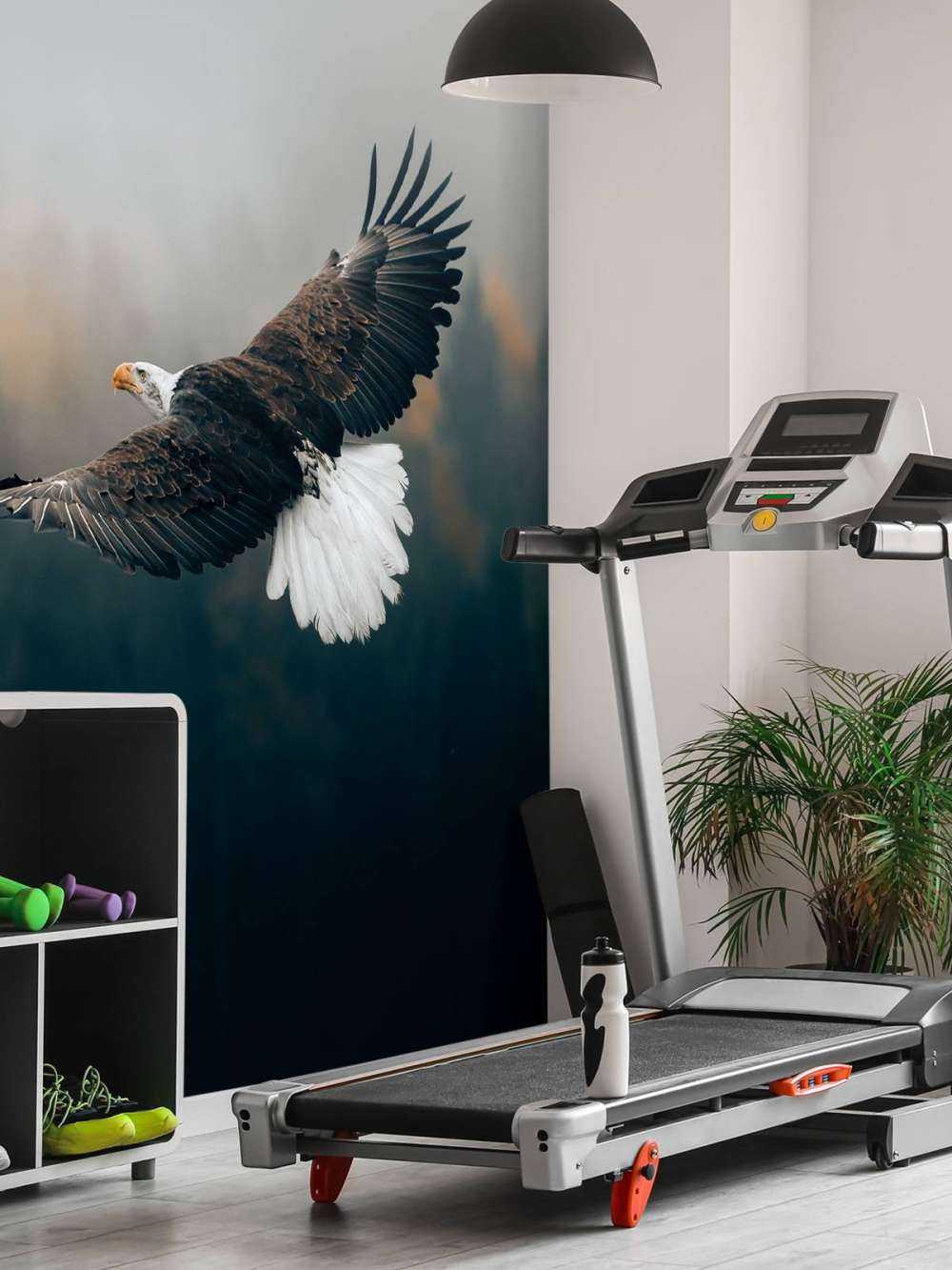 Aquila calva sopra la foresta