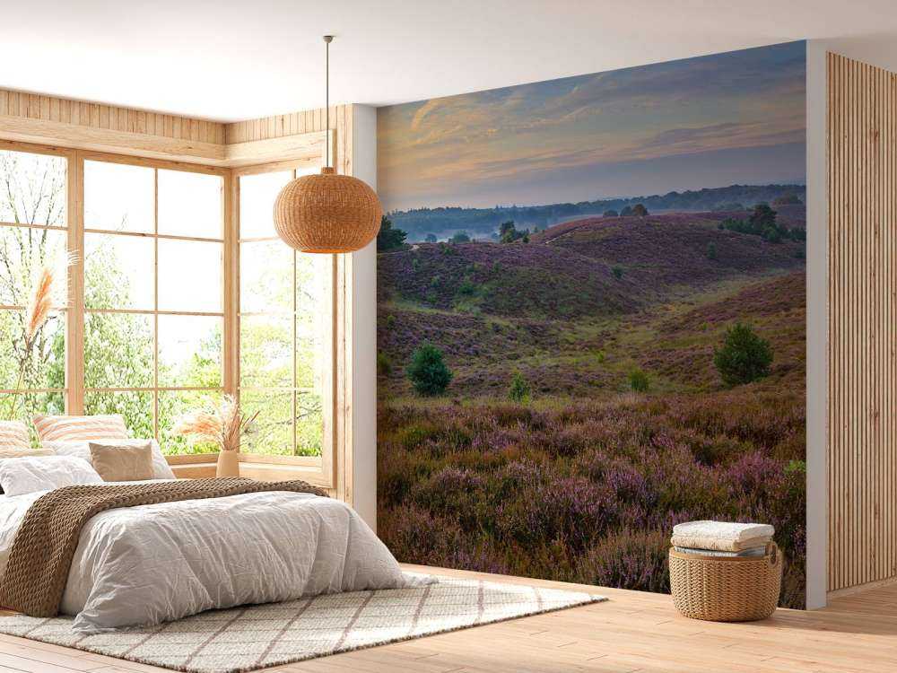 Colline della brughiera