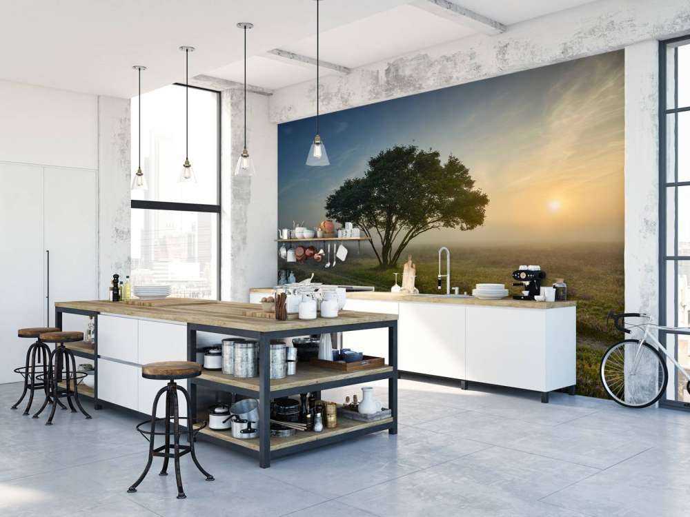 Alba sulla brughiera