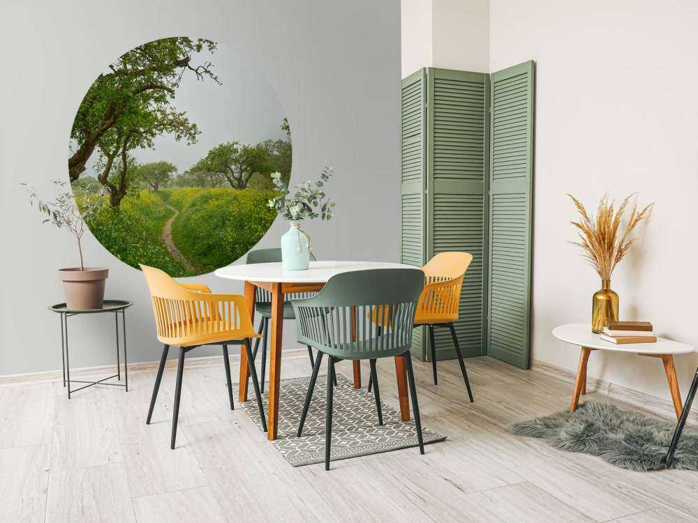 Sentiero attraverso colline con fiori gialli