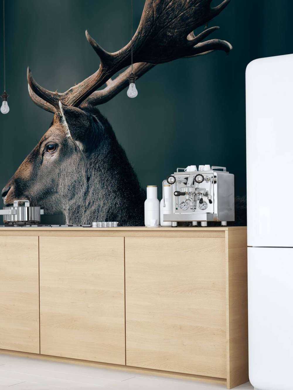 Cervo daino in primo piano