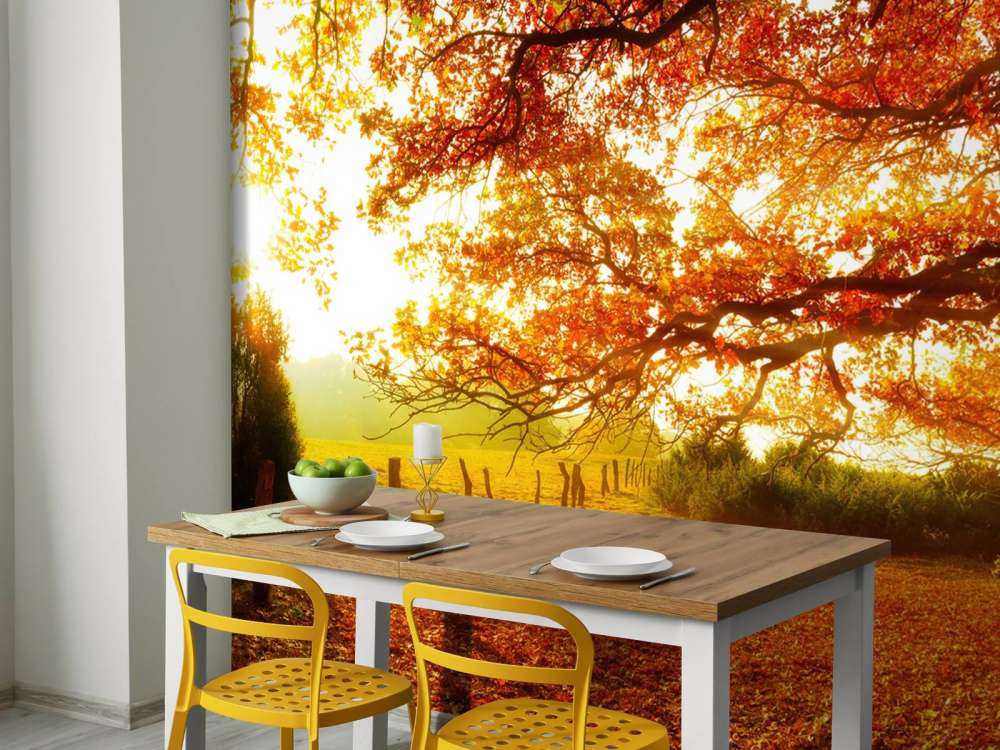 Paesaggio autunnale con bosco e prato