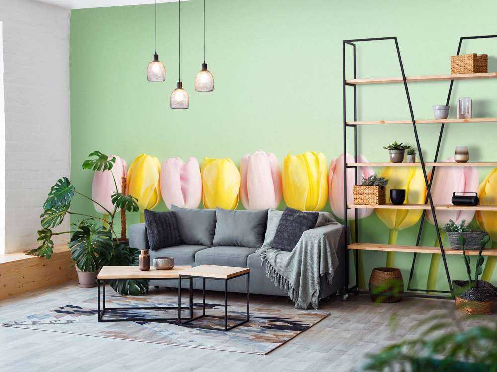 Piccoli tulipani su verde menta