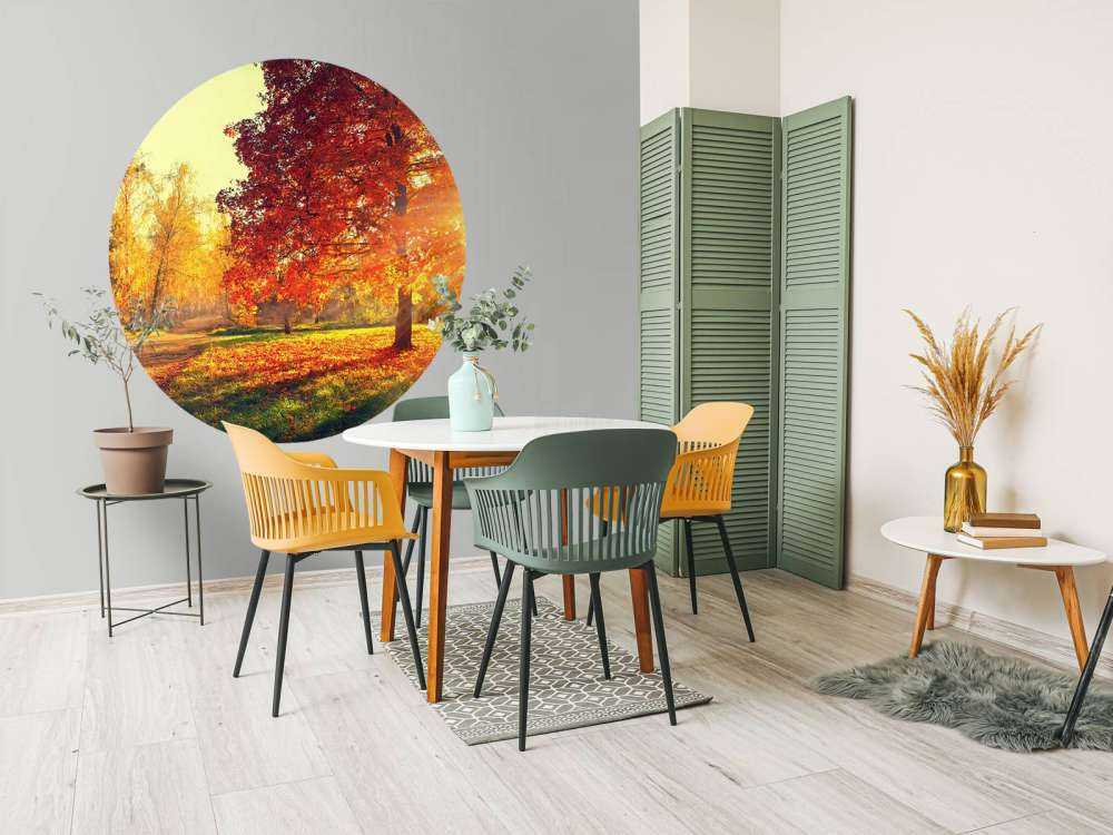 Alberi d'autunno alla luce del sole