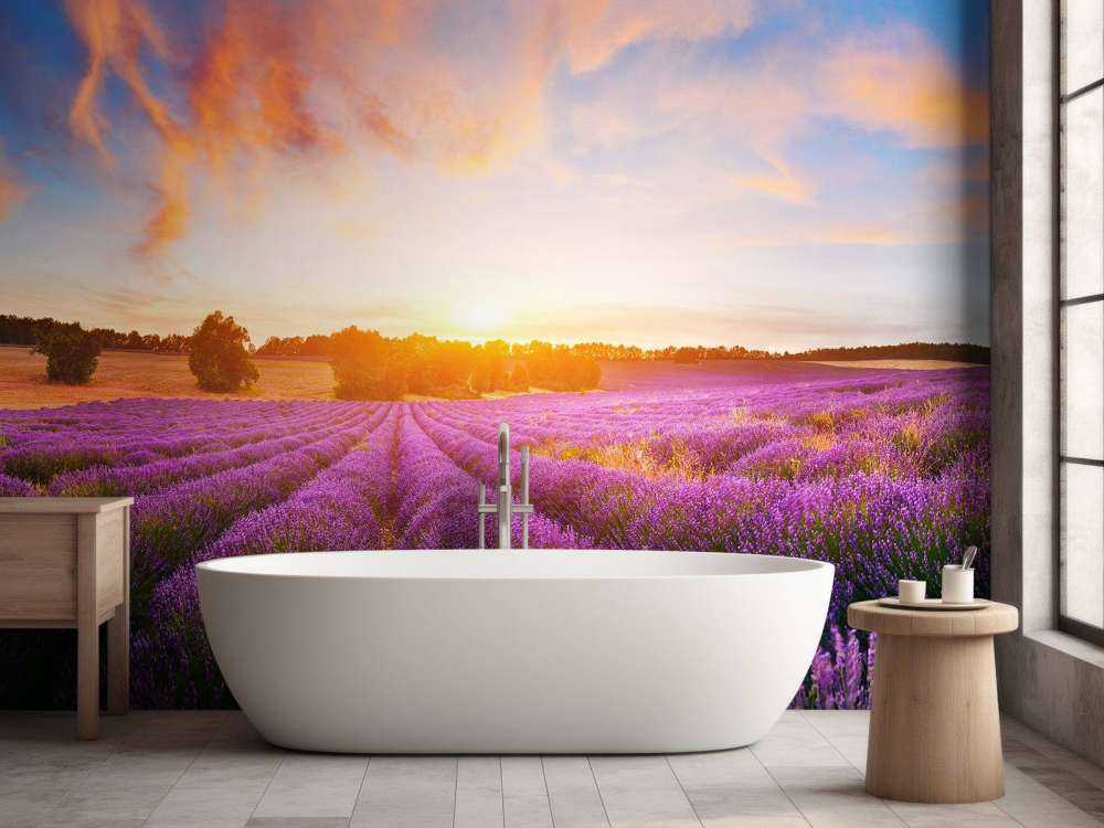 Campo con Lavanda