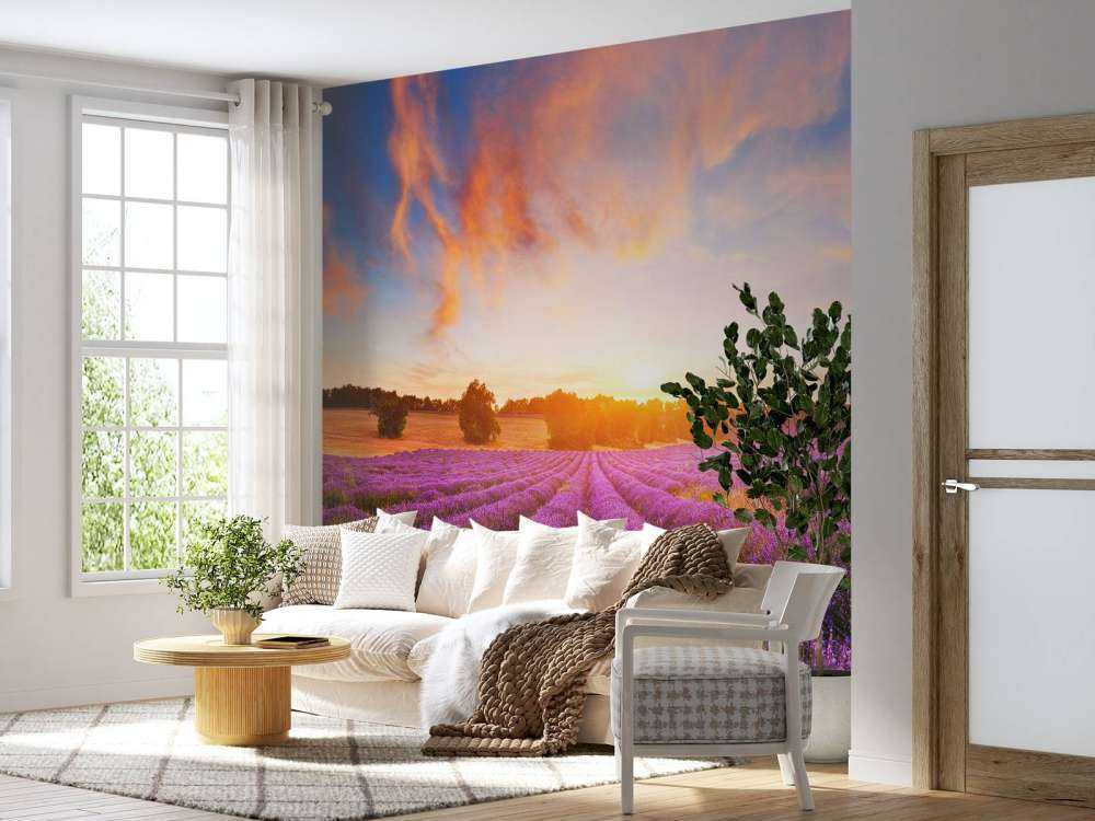 Campo con Lavanda