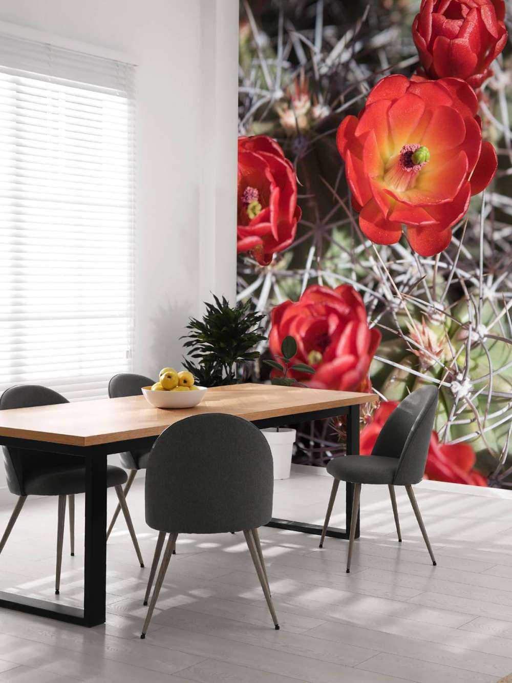 Fiori di cactus rosso