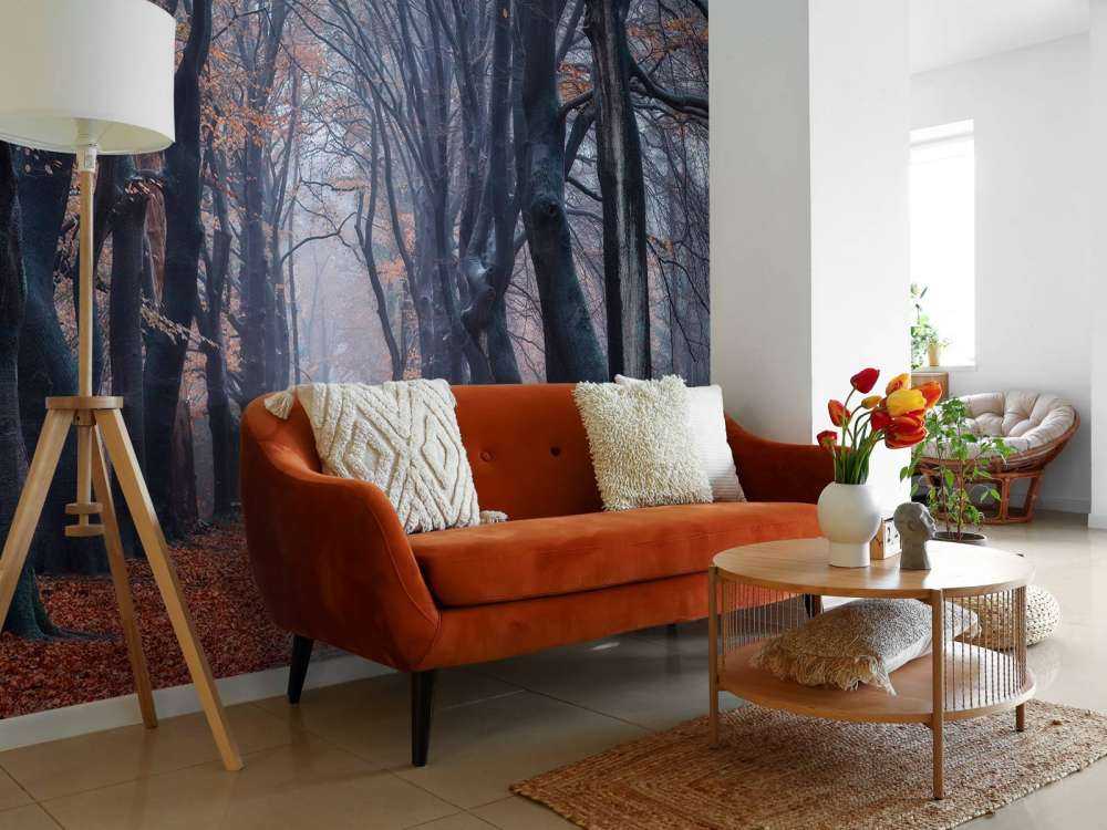 Sentiero forestale con foglie