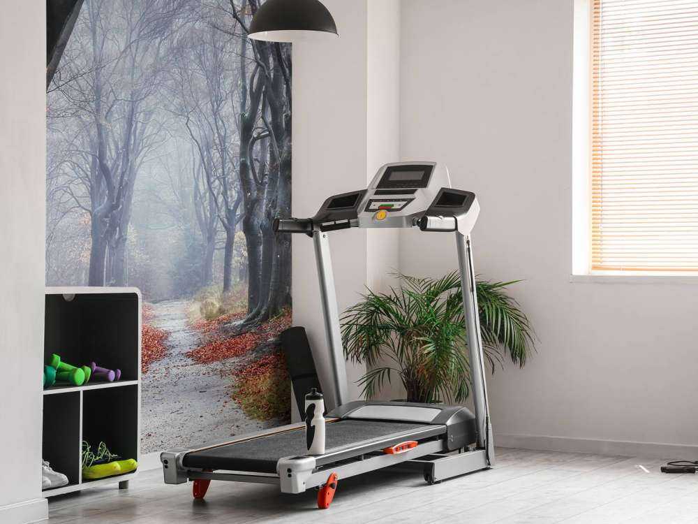 Alberi nella foresta