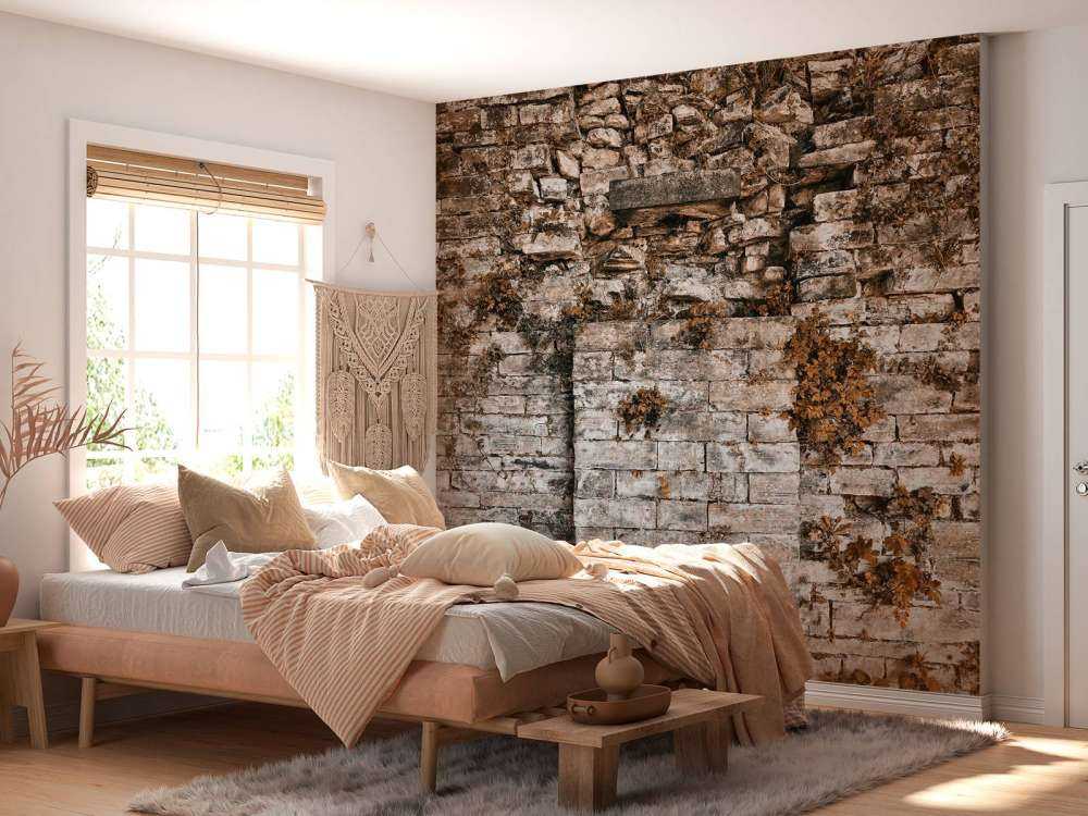 Parete vegetata in autunno