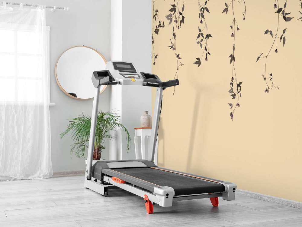 Rametti di clematide su beige