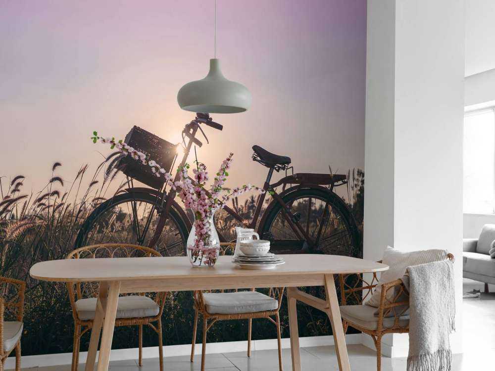 Bicicletta in un campo