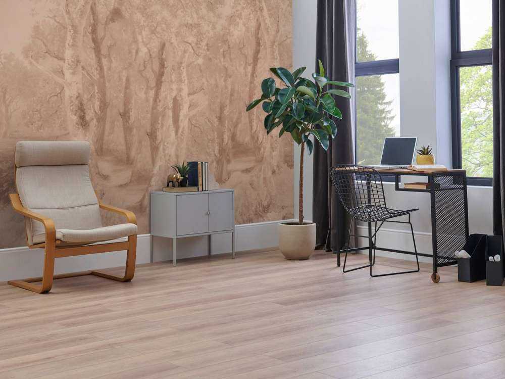 Paesaggio Forestale Terra Panorama