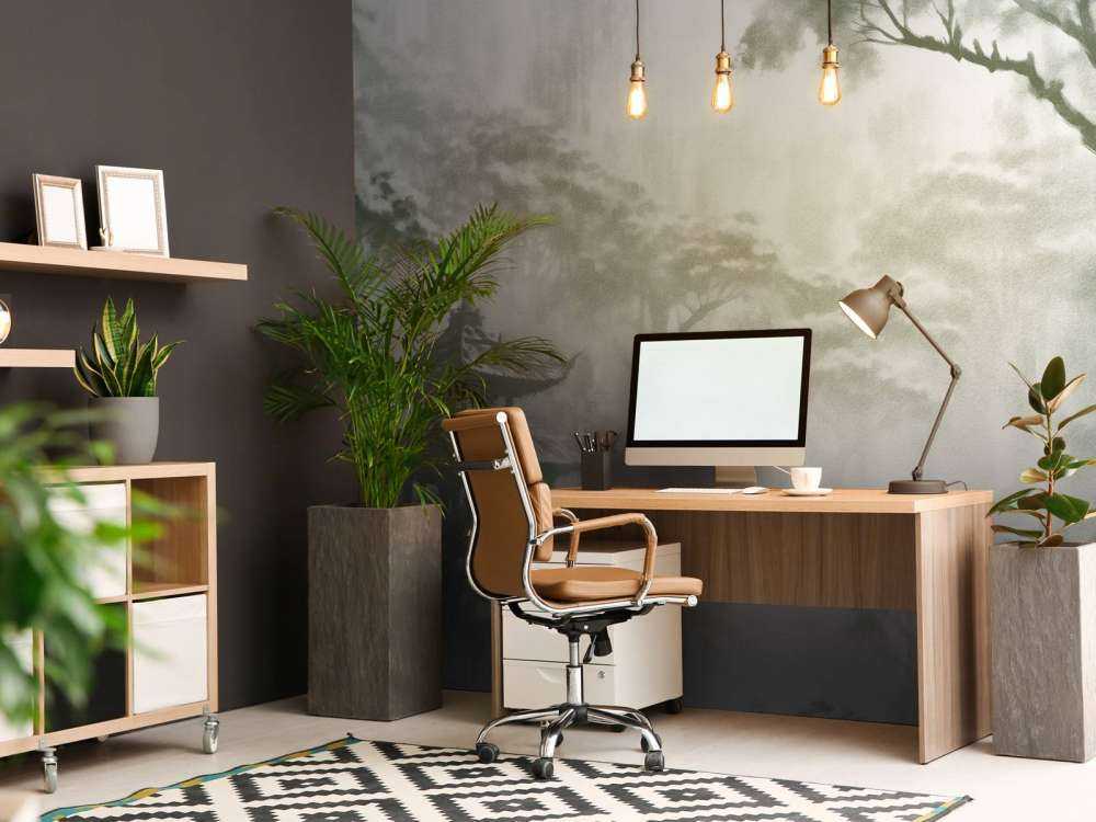 Padiglione Orientale Nebbioso, verde