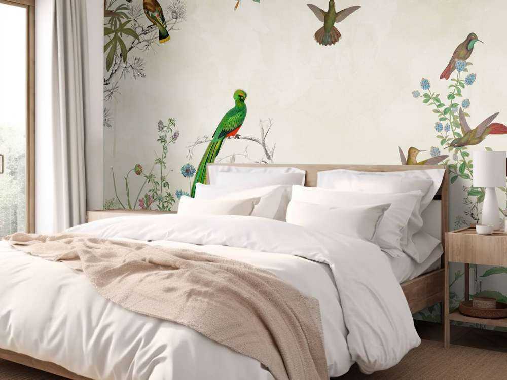 Campi di Uccelli Colorati