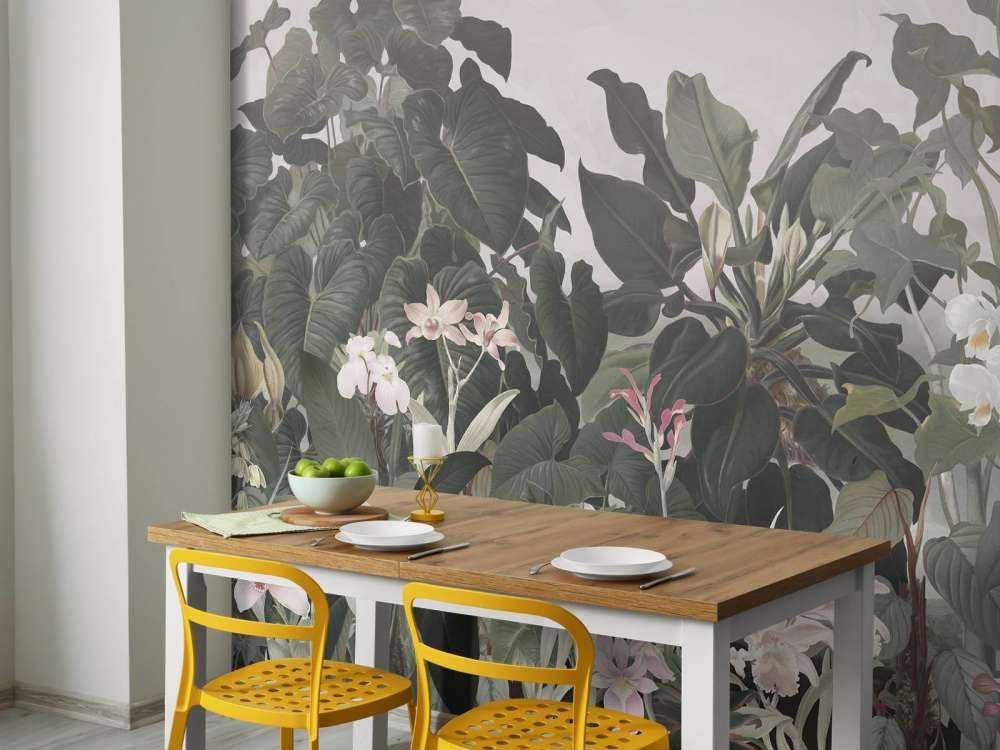 Walking to the Tropic 1