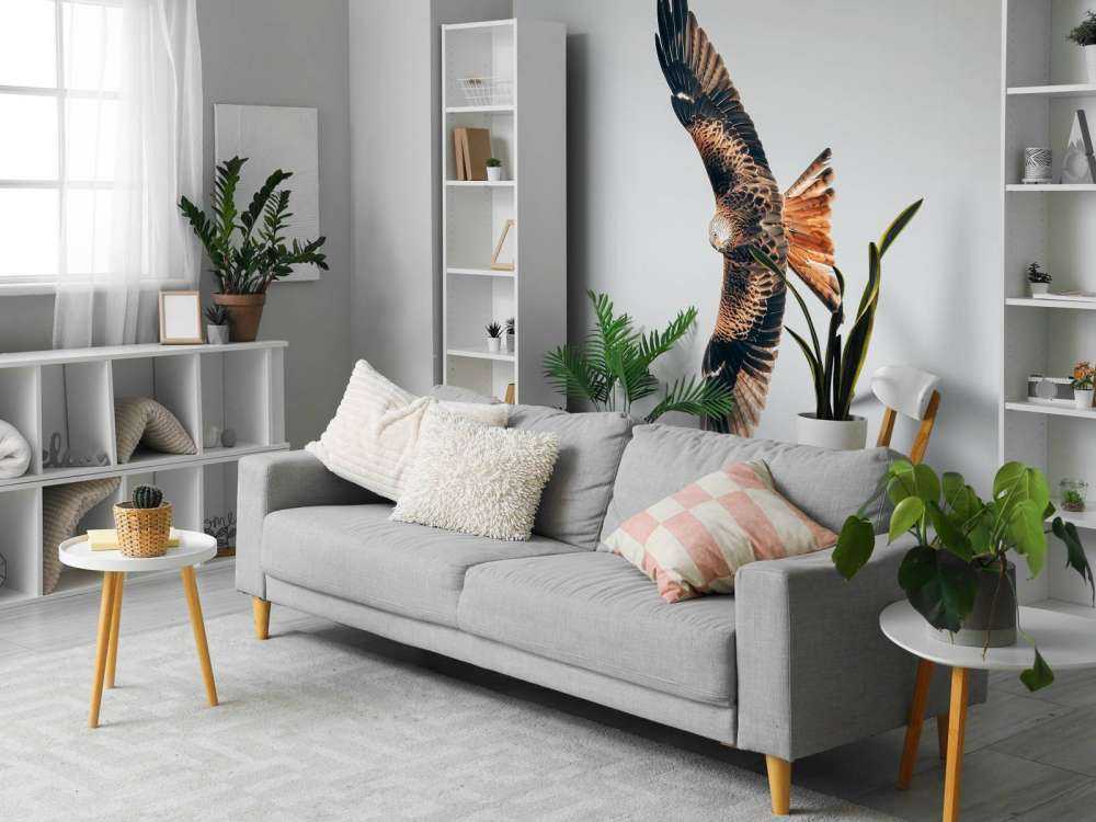 Nibbio rosso ad ali spiegate