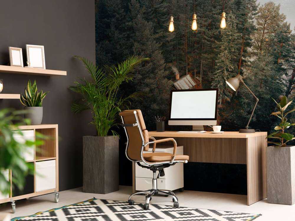 Capanna circondata da foresta e laghi