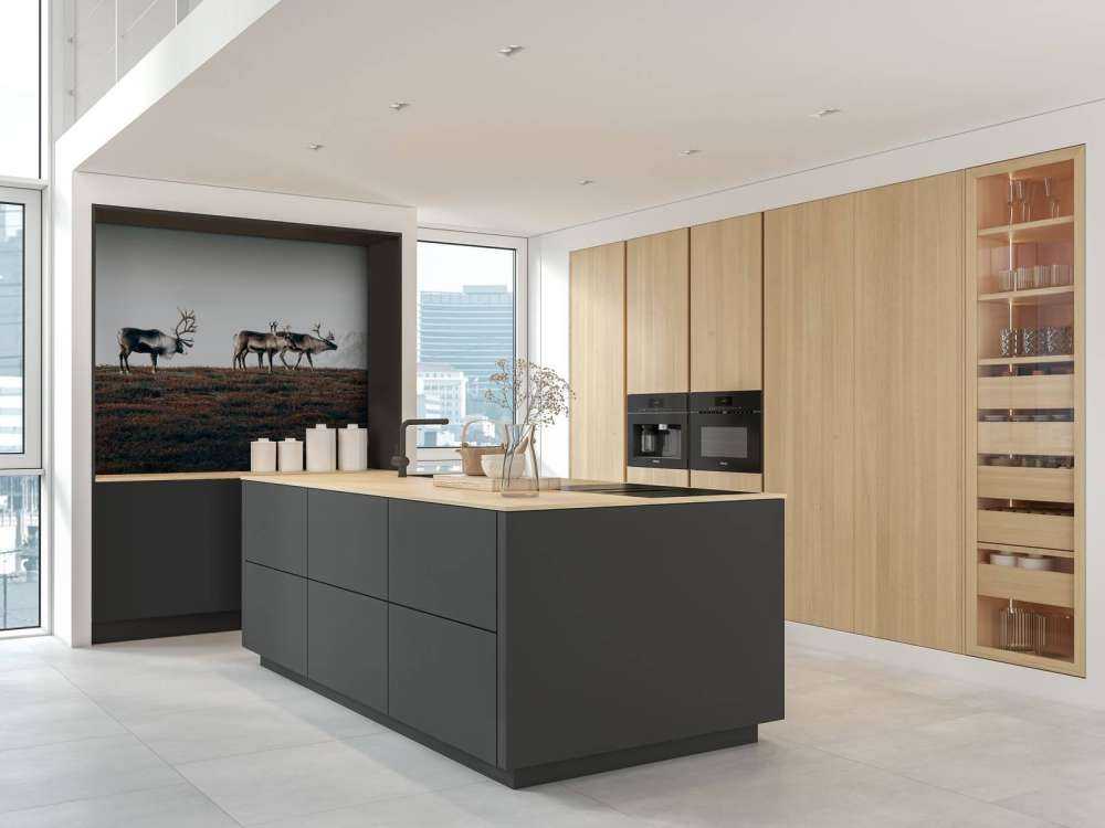 Gruppo di renne nel nord Europa