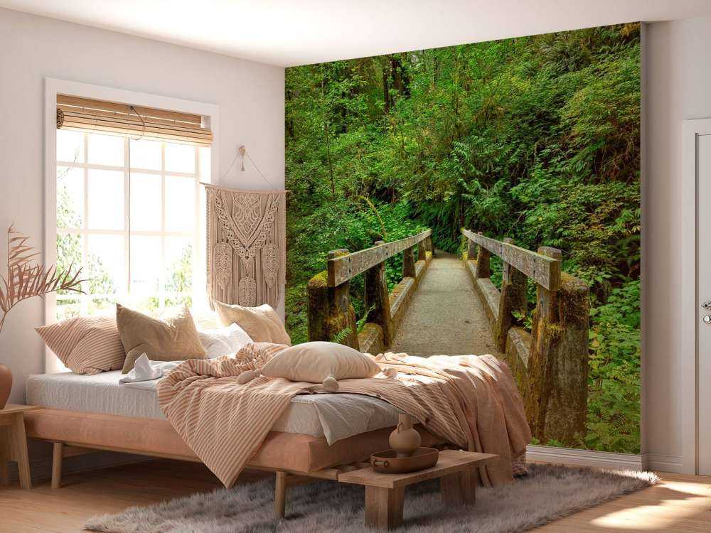 Un ponte nella foresta