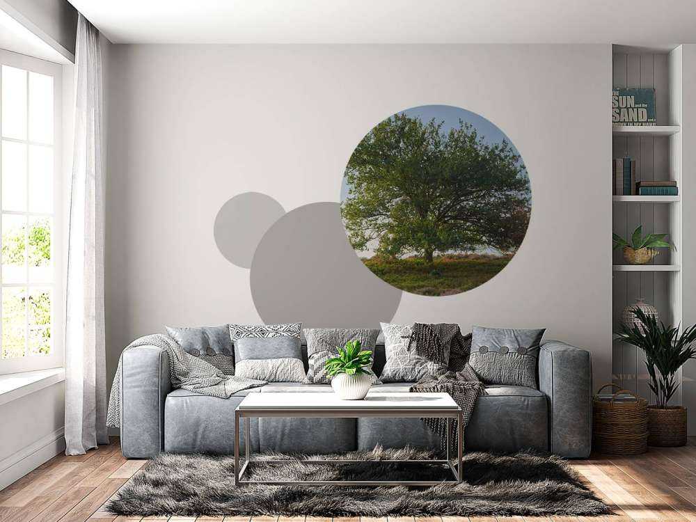 Albero solitario sulla brughiera