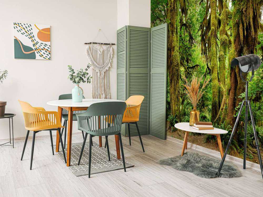 Vecchia foresta selvaggia