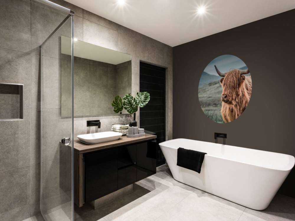 Highlander scozzese sulle colline