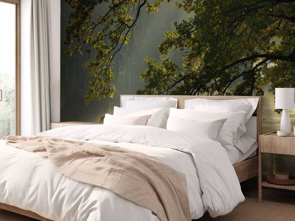 Rami a strapiombo sull'acqua