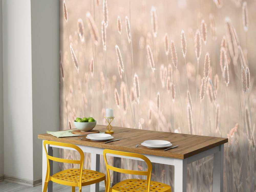 Prato durante il tramonto