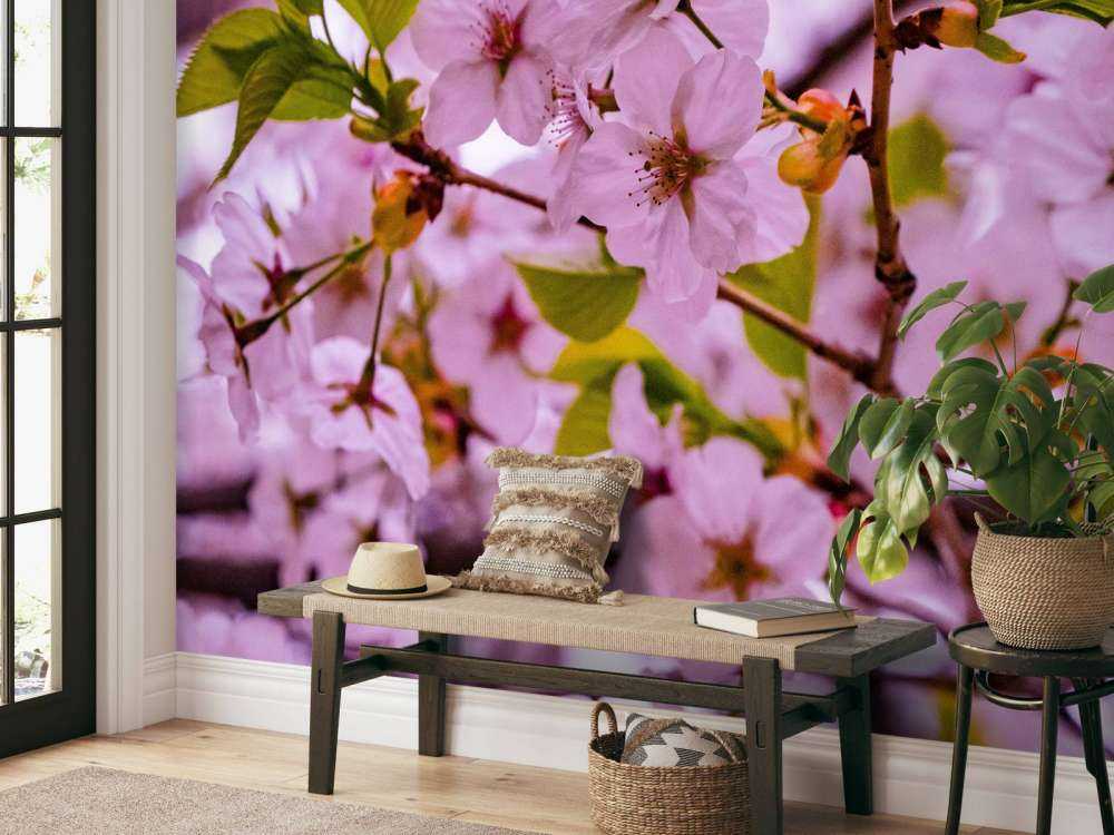 Fiori rosa con petali