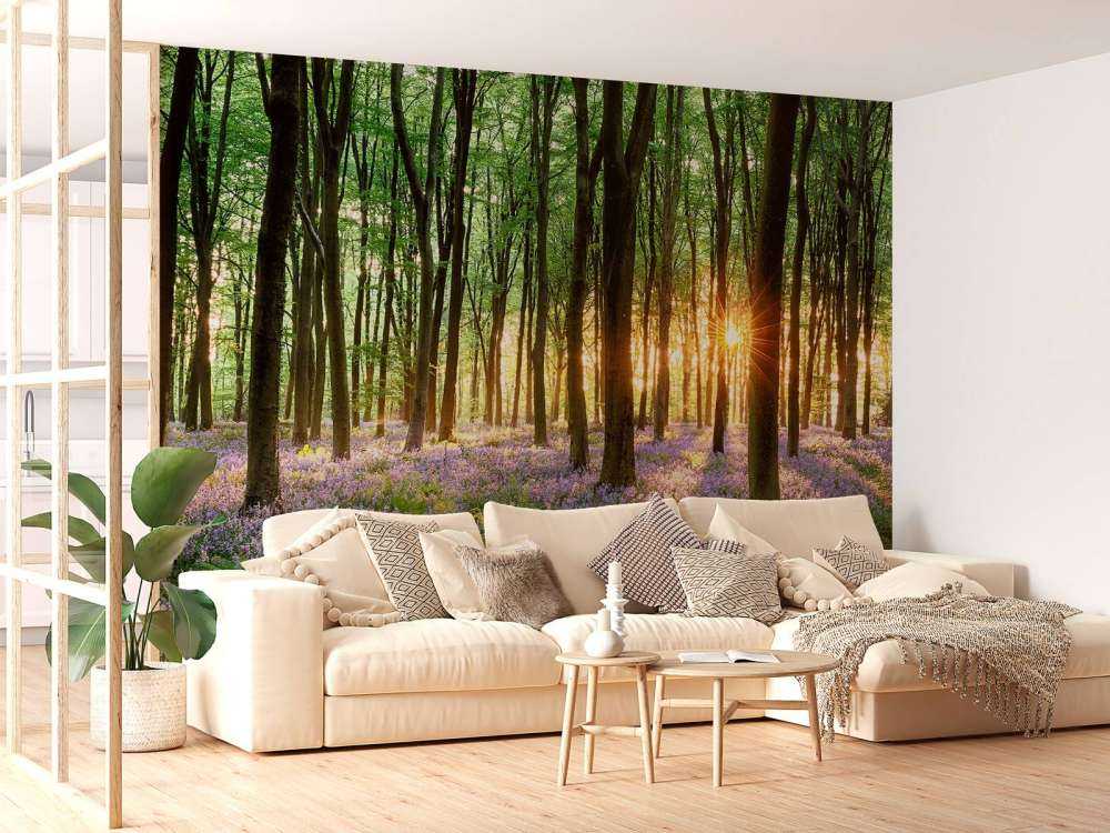 Sentiero della foresta all'alba