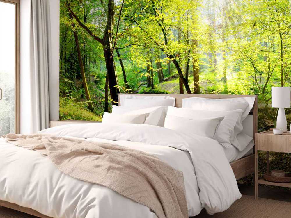 Foresta con un ruscello