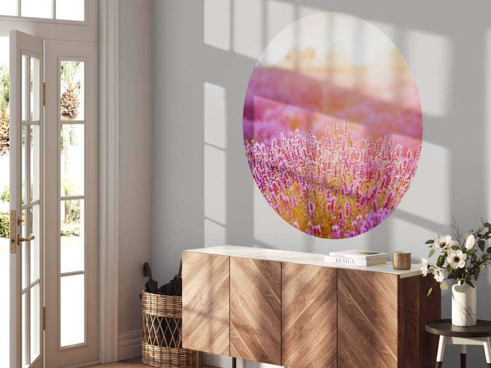 Fiori di lavanda ravvicinati