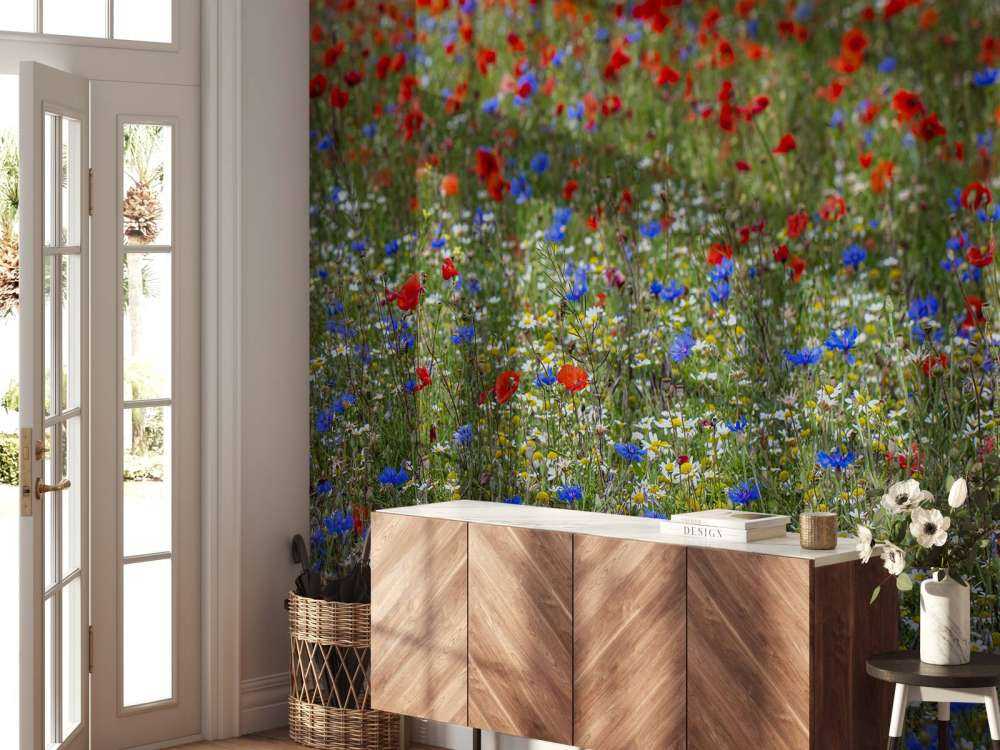 Campo pieno di papaveri