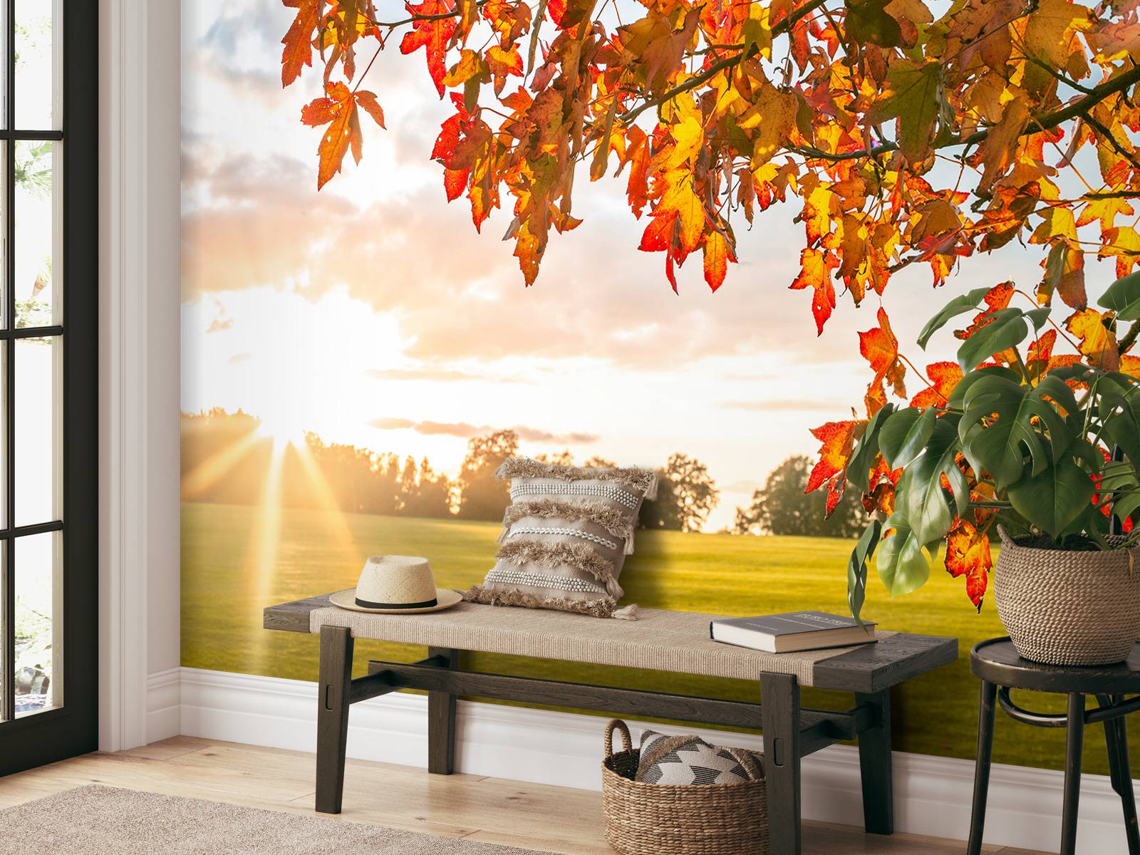 Albero d'autunno al tramonto, image size:1600x1200