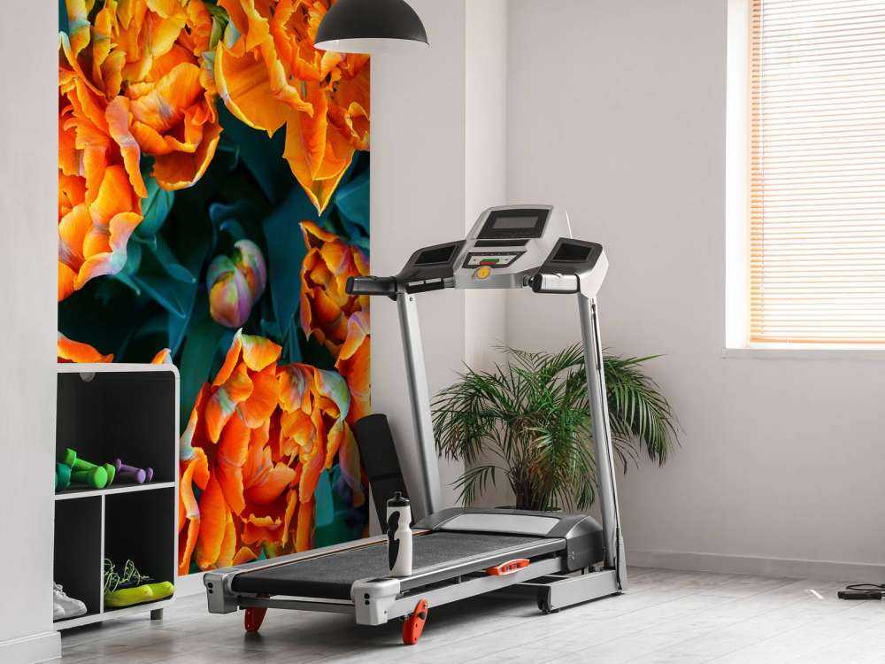 Tulipani arancioni ravvicinati