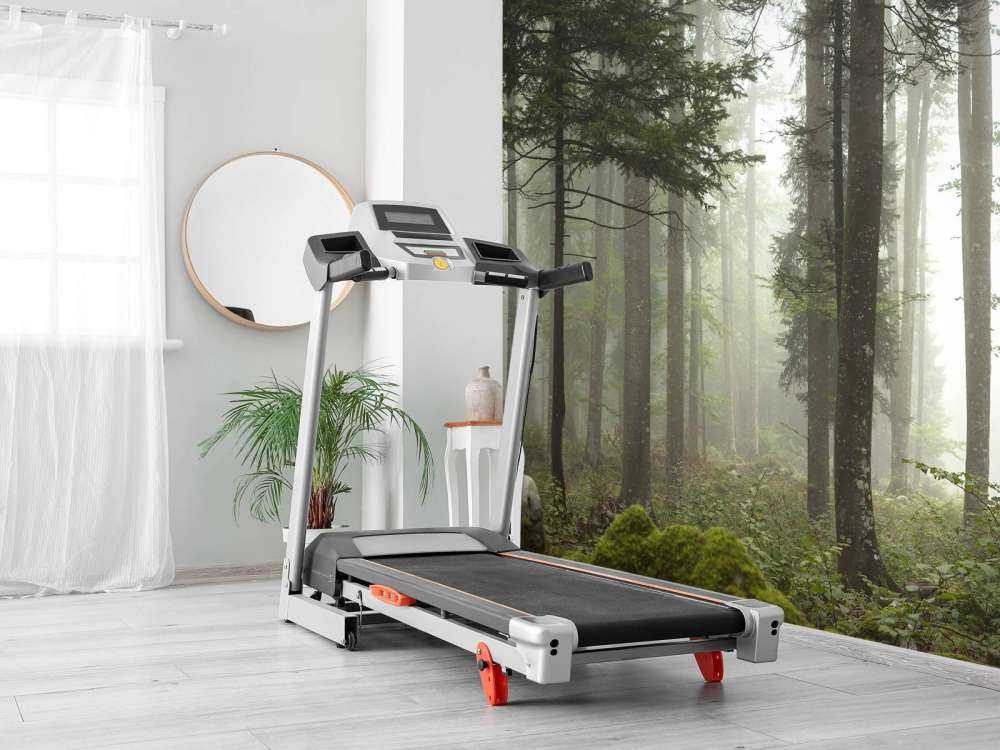 Bellissimo paesaggio nebbioso