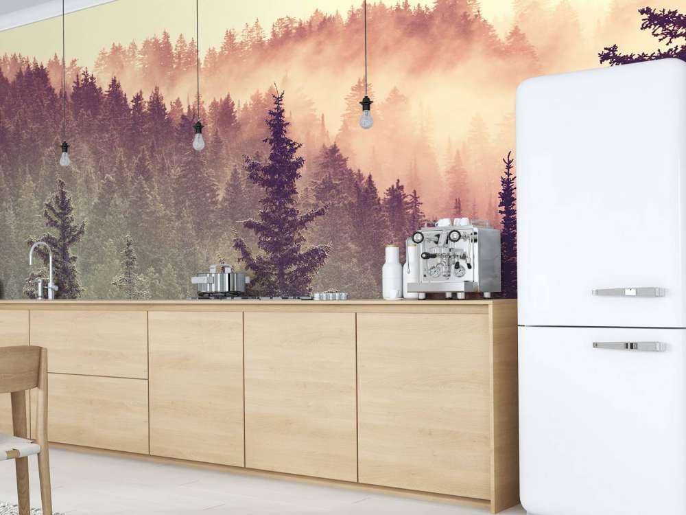 Nebbia nella foresta