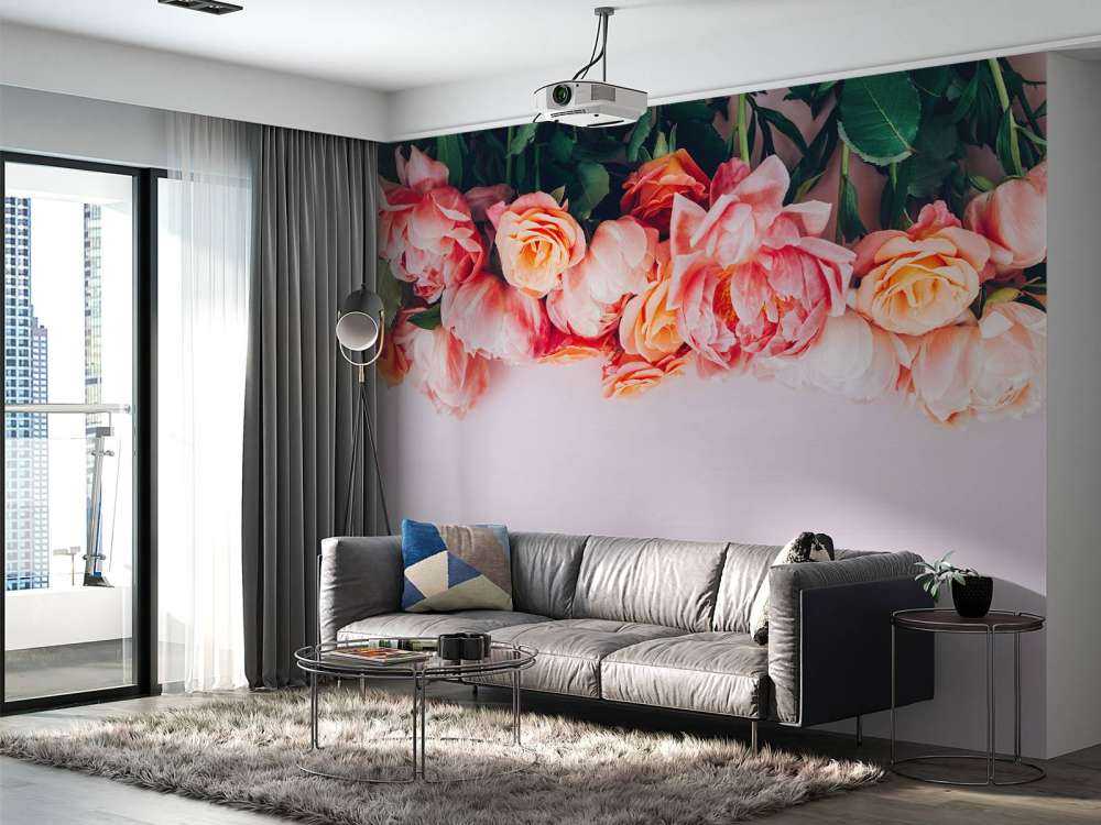 Rosas en diferentes tonos de rosa