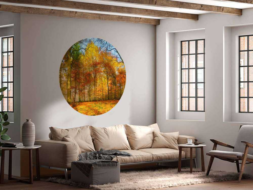 Panorama della foresta colorata