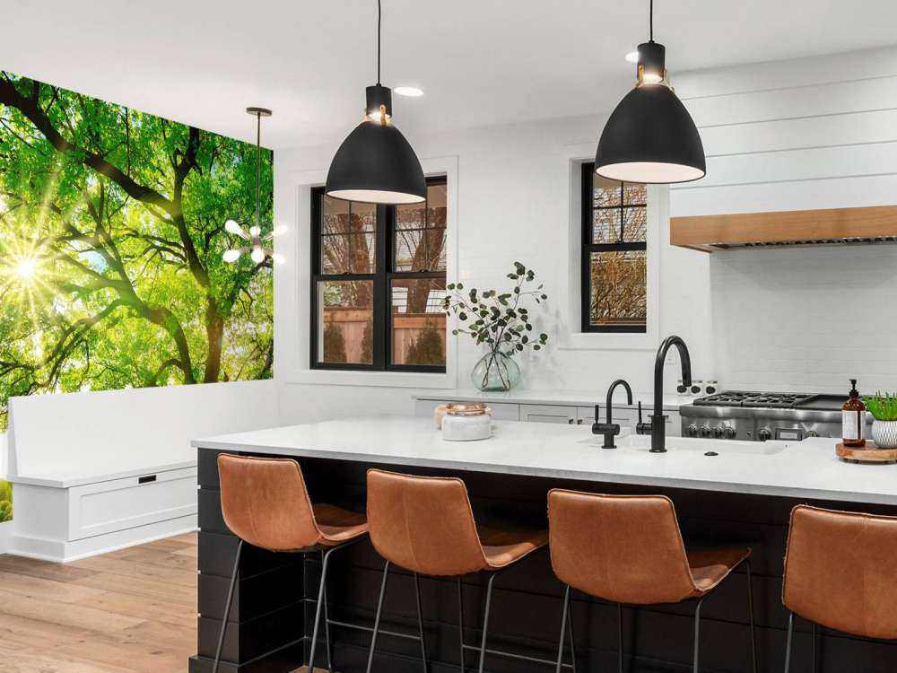 Albero con raggi di sole