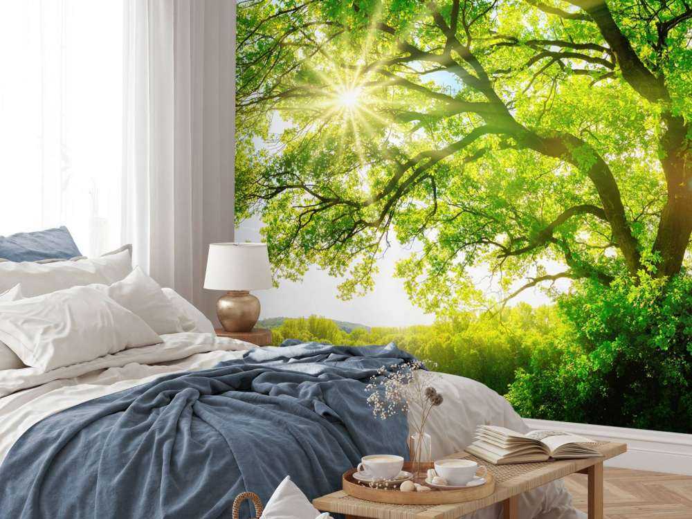 Albero con raggi di sole