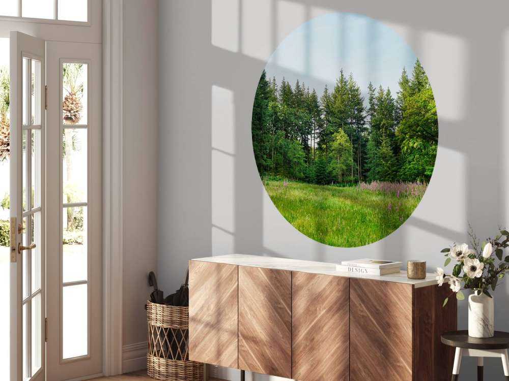 Spazio aperto in una foresta