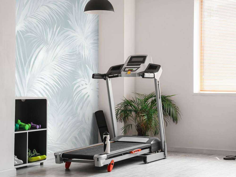 Palm Extravaganza Oceano