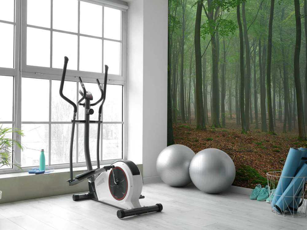 Nebbia nella foresta