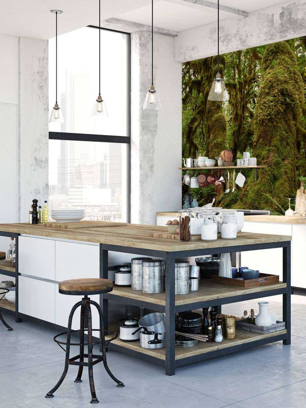 Alberi in una foresta pluviale