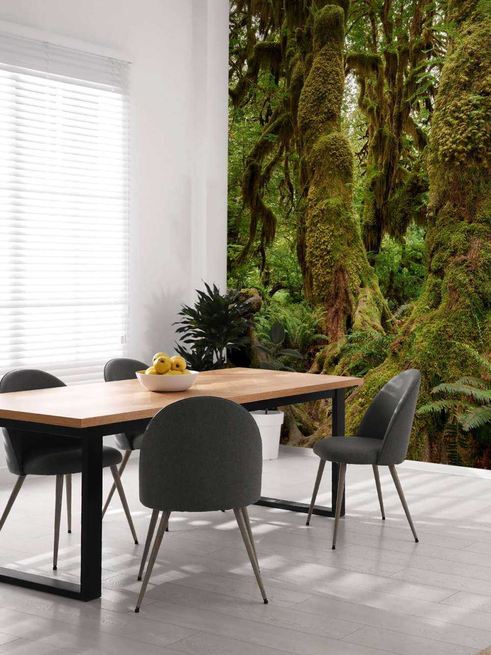 Alberi in una foresta pluviale